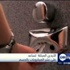 الأيدى المبللة تساعد على نشر الميكروبات بالجسم الأيدى المبللة تساعد على نشر الميكروبات بالجسم
