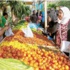 حضور غير مسبوق لـ«سوق المزارعين» بـ21 ألف زائر أمس