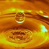 زيت الذرة أكثر خفضاً للكولسترول من زيت الزيتون زيت الذرة أكثر خفضاً للكولسترول من زيت الزيتون