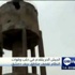 الجيش الحر يتقدم في حلب وقوات النظام تقصف مناطق بريف دمشق