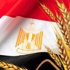 مصر تشتري 120 ألف طن من القمح الفرنسي والروماني