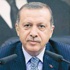 أردوغان يدعو مجلس الأمن إلى عقد اجتماع حول مصر