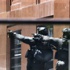 مسلحون يحتجزون 40 رهينة في مقهى وسط سيدني ويرفعون علم الدولة الاسلامية من النافذة (فيديو)