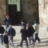 مئات المستوطنين يقتحمون باحات المسجد الأقصى مئات المستوطنين يقتحمون باحات المسجد الأقصى