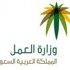 العمل: سنعيد تفتيش المحلات المغلقة ولسنا مقيدين بالدوام الرسمي