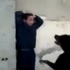 فيديو آخر لشاب يحرض كلب على نهش طفل صغير