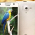 هواوي تزيح الستار عن الهاتف Honor 3 المقاوم للمياه