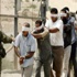 الأسرى الفلسطينيون يضربون عن الطعام مجدداً الأسرى الفلسطينيون يضربون عن الطعام مجدداً