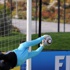 دورة تدريبية دولية لحراس المرمى