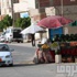 رحلة البحث عن الدولة فى سيناء