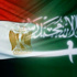 «السفير عفيفي» يناشد المصريين بالسعودية بتسجيل أسمائهم بجدول الانتخابات