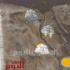 طقس السبت: مائل للحرارة نهارًا معتدل ليلا على معظم المحافظات